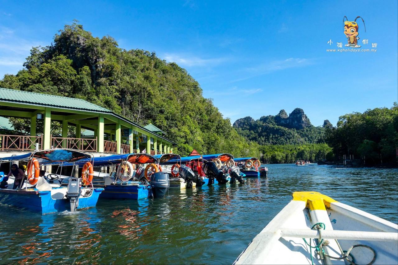 Jelajahi Mangrove Langkawi: Ekosistem Unik dan Pengalaman Tak Terlupakan